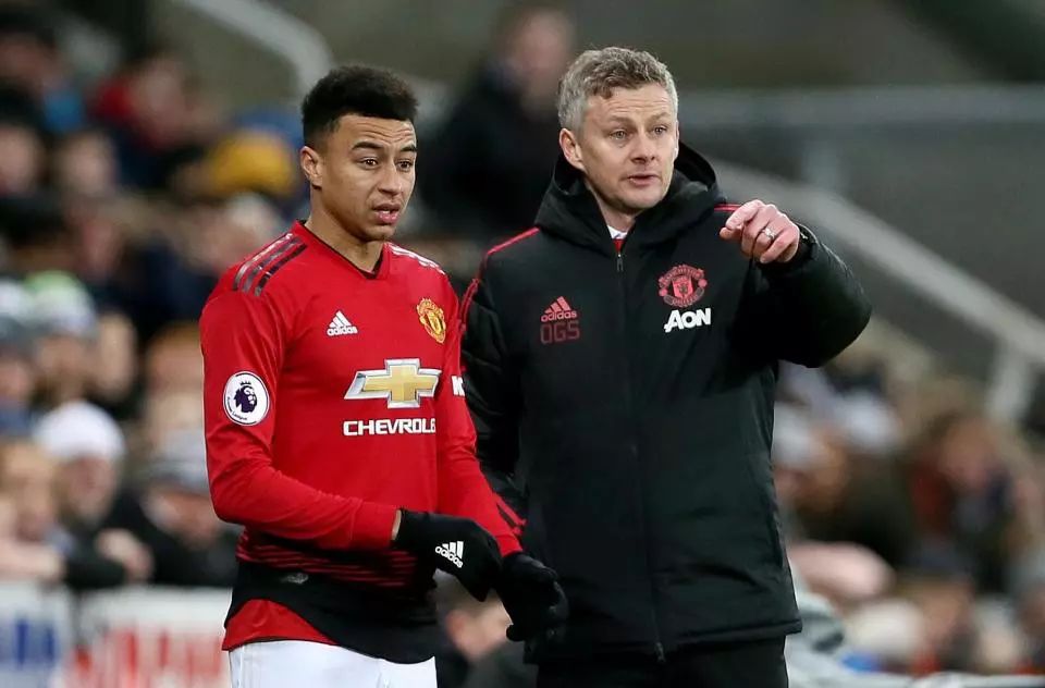 他的粉丝 他的粉丝